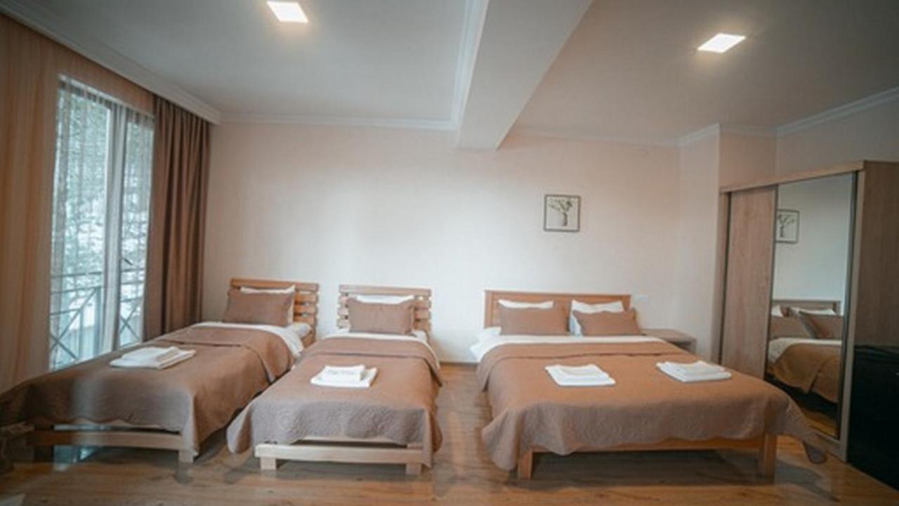 Hotel Сурами Экстерьер фото