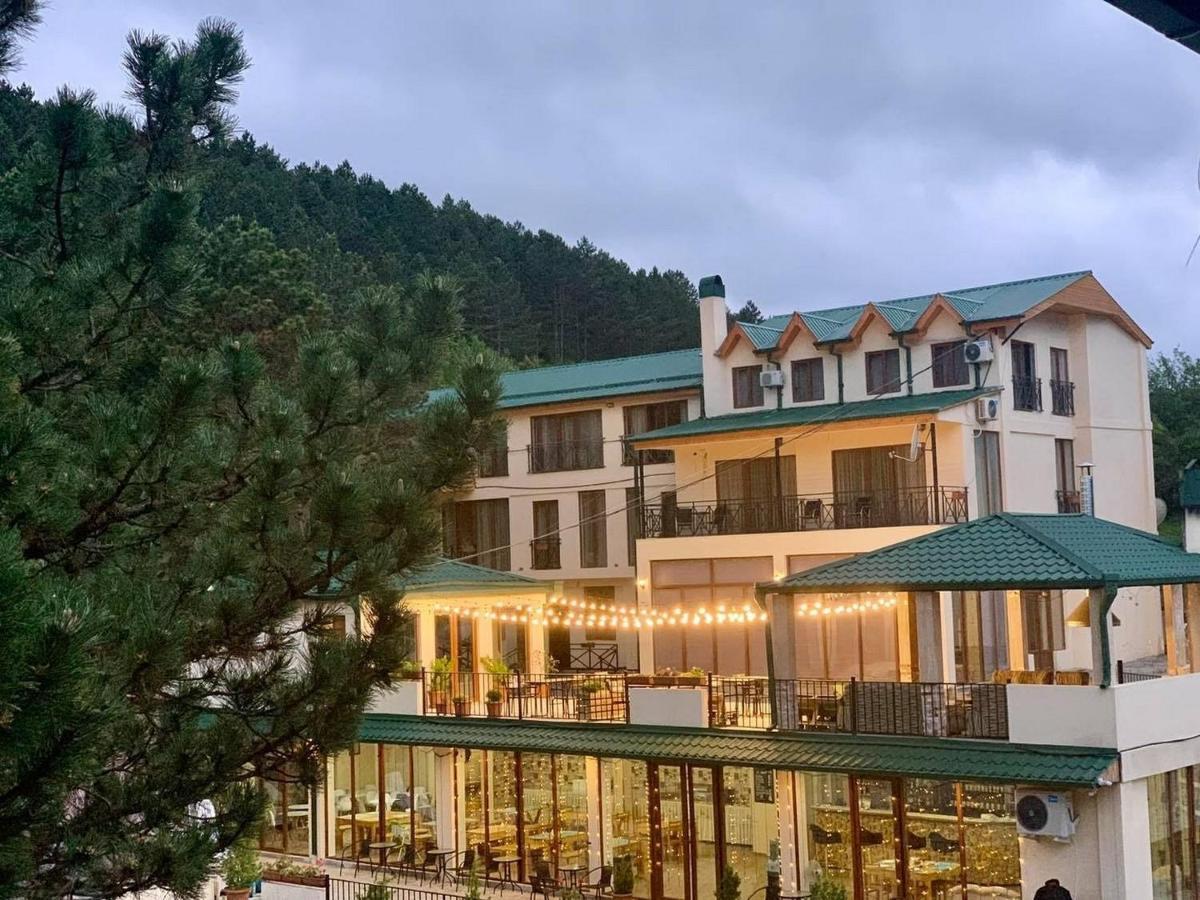 Hotel Сурами Экстерьер фото